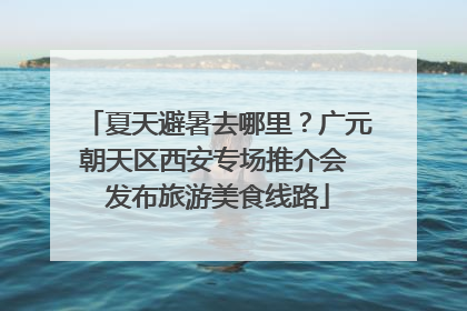 夏天避暑去哪里？广元朝天区西安专场推介会 发布旅游美食线路