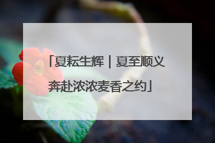 夏耘生辉｜夏至顺义奔赴浓浓麦香之约