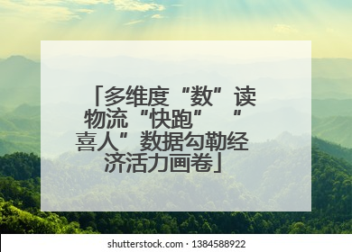 多维度“数”读物流“快跑” “喜人”数据勾勒经济活力画卷