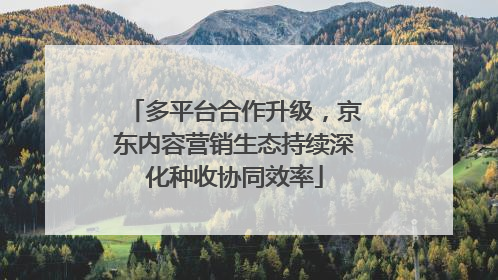 多平台合作升级，京东内容营销生态持续深化种收协同效率