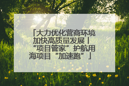 大力优化营商环境 加快高质量发展丨“项目管家”护航用海项目“加速跑”