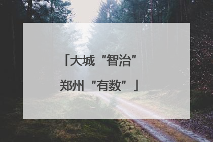 大城“智治” 郑州“有数”