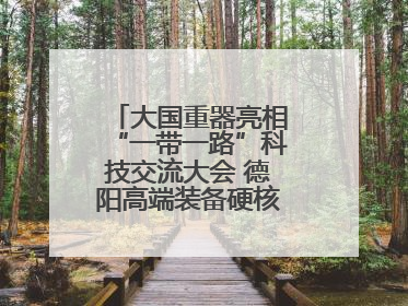 大国重器亮相“一带一路”科技交流大会 德阳高端装备硬核成果彰显实力