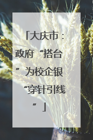 大庆市：政府“搭台”为校企银“穿针引线”