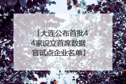 大连公布首批44家设立首席数据官试点企业名单