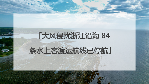 大风侵扰浙江沿海 84条水上客渡运航线已停航