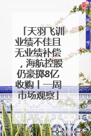 天羽飞训业绩不佳且无业绩补偿，海航控股仍豪掷8亿收购丨一周市场观察
