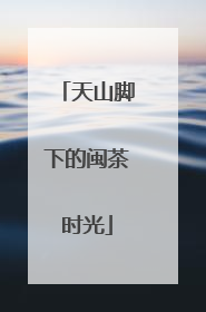 天山脚下的闽茶时光