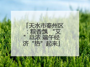 天水市秦州区：粽香飘 “艾”意浓 端午经济“热”起来