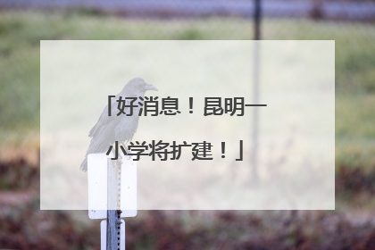 好消息！昆明一小学将扩建！