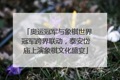 奥运冠军与象棋世界冠军跨界联动，泰安岱庙上演象棋文化盛宴