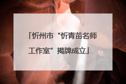 忻州市“忻青苗名师工作室”揭牌成立