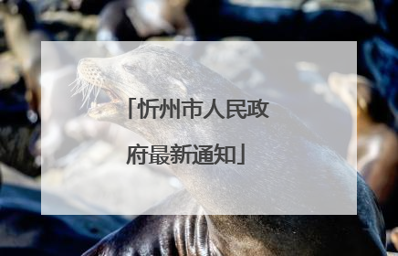 忻州市人民政府最新通知