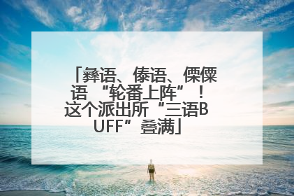 彝语、傣语、傈僳语 “轮番上阵”！这个派出所“三语BUFF”叠满