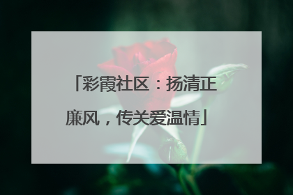 彩霞社区：扬清正廉风，传关爱温情