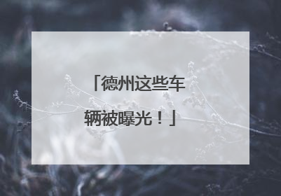 德州这些车辆被曝光！