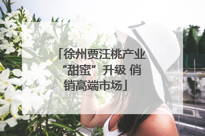 徐州贾汪桃产业“甜蜜”升级 俏销高端市场