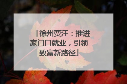 徐州贾汪：推进家门口就业，引领致富新路径
