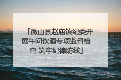 微山县赵庙镇纪委开展午间饮酒专项监督检查 筑牢纪律防线