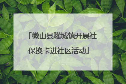 微山县驩城镇开展社保换卡进社区活动