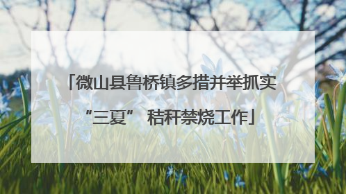 微山县鲁桥镇多措并举抓实 “三夏” 秸秆禁烧工作