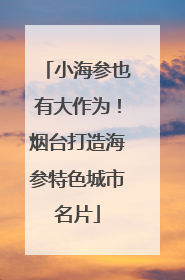 小海参也有大作为！烟台打造海参特色城市名片