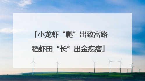 小龙虾“爬”出致富路 稻虾田“长”出金疙瘩