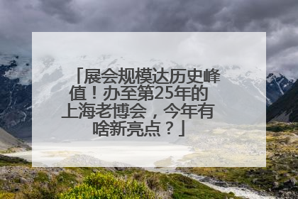 展会规模达历史峰值！办至第25年的上海老博会，今年有啥新亮点？