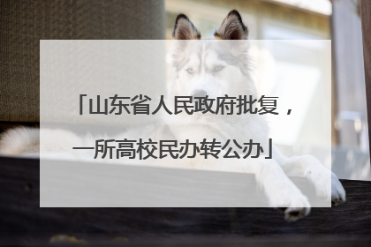 山东省人民政府批复，一所高校民办转公办