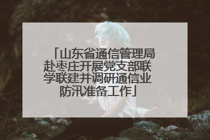 山东省通信管理局赴枣庄开展党支部联学联建并调研通信业防汛准备工作