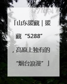 山东援藏｜援藏“5288”，高原上独有的“烟台浪漫”