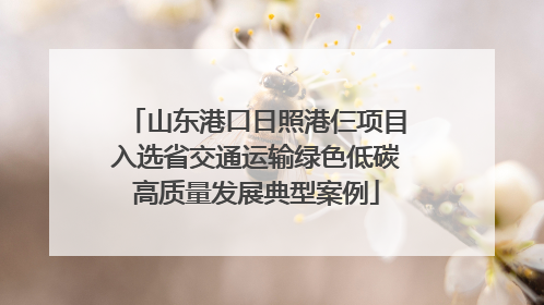 山东港口日照港仨项目入选省交通运输绿色低碳高质量发展典型案例