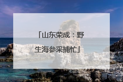 山东荣成：野生海参采捕忙