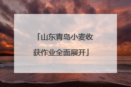 山东青岛小麦收获作业全面展开