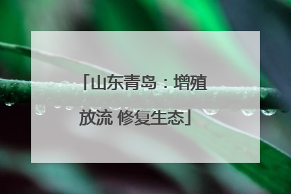 山东青岛：增殖放流 修复生态