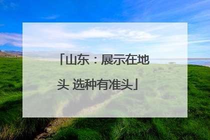 山东：展示在地头 选种有准头