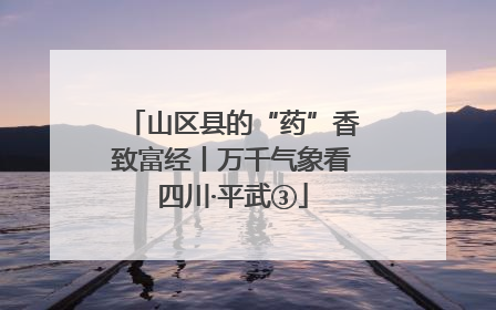 山区县的“药”香致富经丨万千气象看四川·平武③