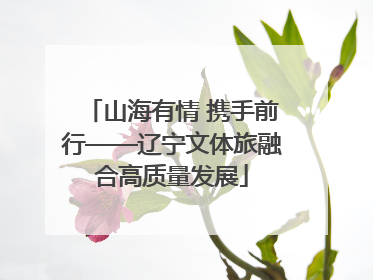 山海有情 携手前行——辽宁文体旅融合高质量发展