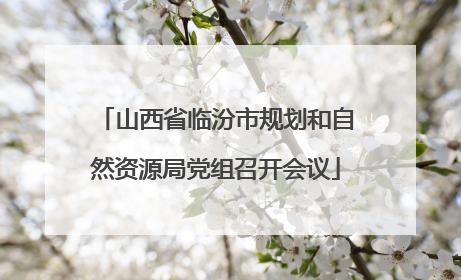 山西省临汾市规划和自然资源局党组召开会议
