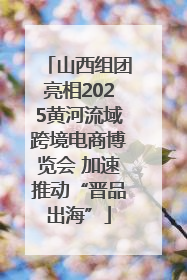 山西组团亮相2025黄河流域跨境电商博览会 加速推动“晋品出海”