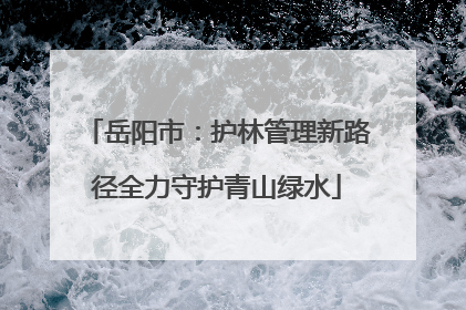 岳阳市：护林管理新路径全力守护青山绿水