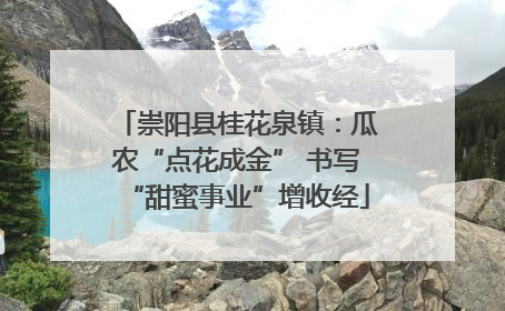 崇阳县桂花泉镇：瓜农“点花成金” 书写“甜蜜事业”增收经