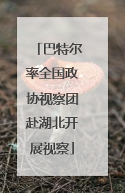 巴特尔率全国政协视察团赴湖北开展视察
