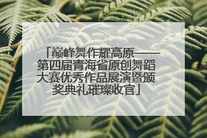 巅峰舞作耀高原——第四届青海省原创舞蹈大赛优秀作品展演暨颁奖典礼璀璨收官
