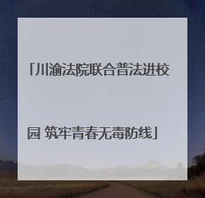 川渝法院联合普法进校园 筑牢青春无毒防线