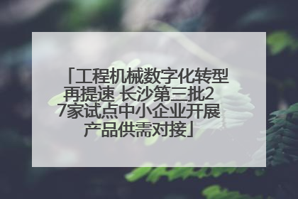 工程机械数字化转型再提速 长沙第三批27家试点中小企业开展产品供需对接