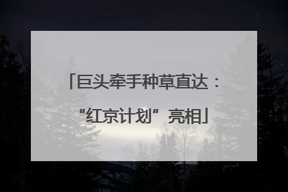 巨头牵手种草直达：“红京计划”亮相