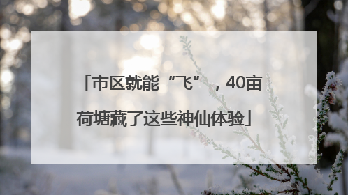 市区就能“飞”，40亩荷塘藏了这些神仙体验