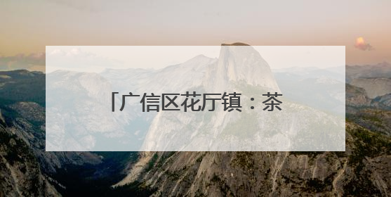 广信区花厅镇：茶香飘出致富路 绿水青山绘新篇（图）