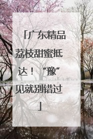 广东精品荔枝甜蜜抵达！“豫”见就别错过